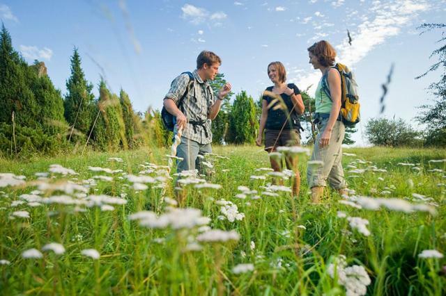 Nengshof Ferienwohnung Wildrose Wißmannsdorf Dış mekan fotoğraf