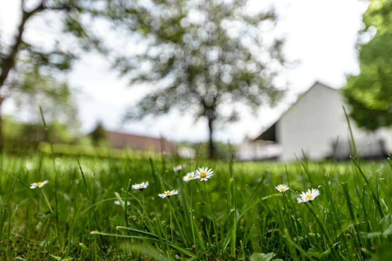 Nengshof Ferienwohnung Wildrose Wißmannsdorf Dış mekan fotoğraf